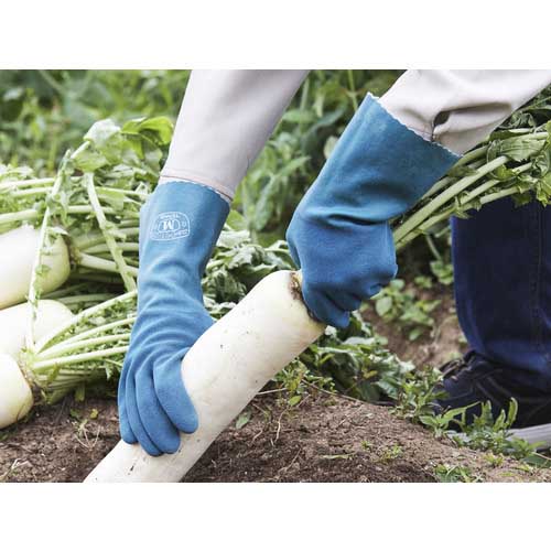 トワロン 天然ゴム手袋 ニュートワロンロング LL 156-2L