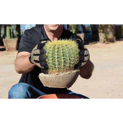 HEX ARMOR 耐切創・耐針手袋 ThornArmor 3092 M 754208