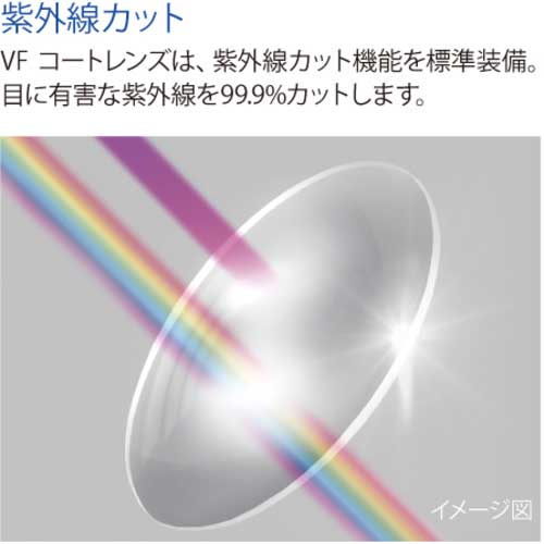 リケン 防曇ゴグル(無気孔型・ワイドビュー・めがね併用可・マスク併用可) M31B-VF M31BVF