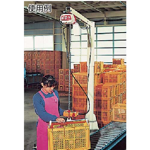 KITO 電気チェーンブロック キトーセレクト ED形 定格荷重240kg 揚程3m 単相100V2速形 【選べる定格荷重】 ED24ST