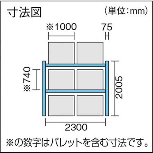 TRUSCO 重量パレットラック1トン2300×1000×H2000 2段 単体 1D-20B23-10