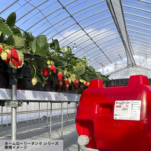 SUIKO ホームローリータンク50 レモン HLT-50