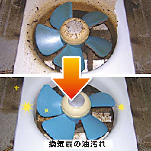 KANSAI 業務用洗剤 復活洗浄剤300ml ビニール・プラスチック用 透明 00017660042300