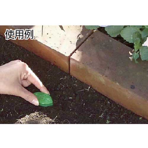 フマキラー アリ用殺虫剤 ウルトラ巣のアリフマキラー10個入 430639