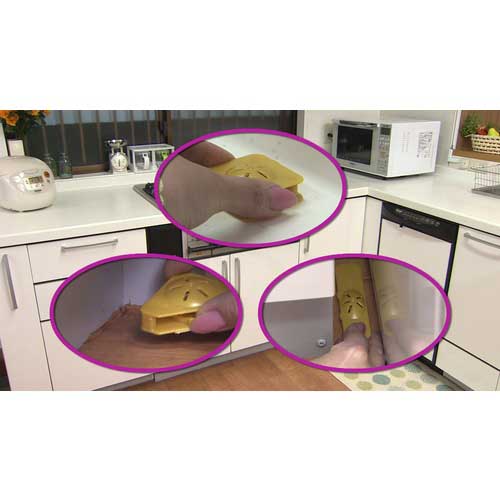 フマキラー ゴキブリ駆除剤 ホウ酸ダンゴ元祖半なま18個入 434538