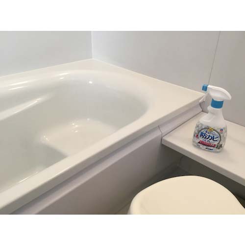 【廃番】アース らくハピ 水まわりの防カビスプレーピンクヌメリ予防 無香性 657916