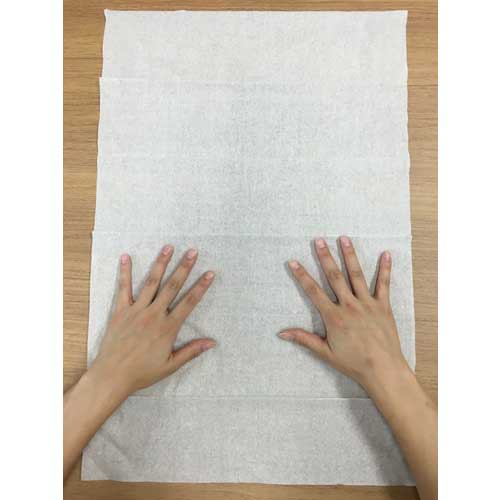 エリエール プロワイプ ソフトマイクロワイパーL150 703242