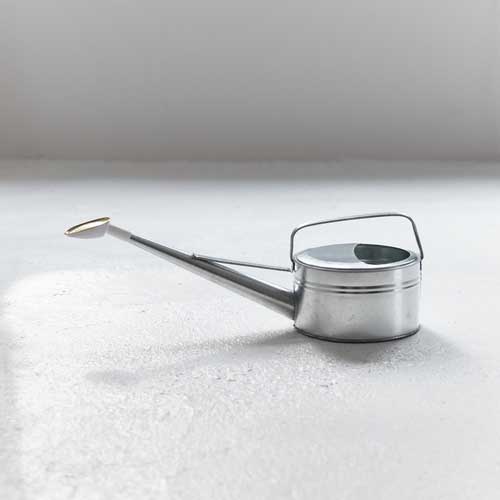 TRUSCO トタンじょうろ 4リットル CGI-04