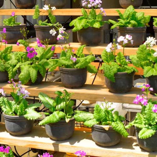 タカギ 水やりスターターキット タイマー付(鉢植え用) GKK105