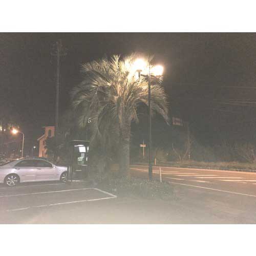 ELI Lamp BU-50W-E26-N-WT 屋外用 002969