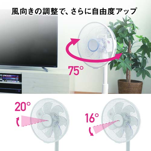 アイリスオーヤマ 509296 リモコン式リビング扇 (DCモーター式) LFD-306L