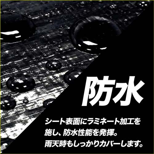 萩原 ブラックシート #2500 (HC用小畳) 3.6m×5.4m OS3654B