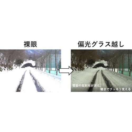 【廃番】ゼクー TITICACA(偏光) フロストグレー MB/SI F1942