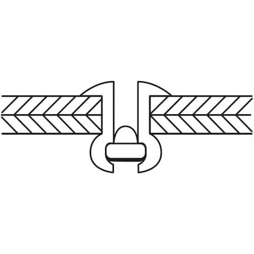 エビ ブラインドリベット(丸頭) ステンレス/ステンレス製 4-8(1000本入) LST48