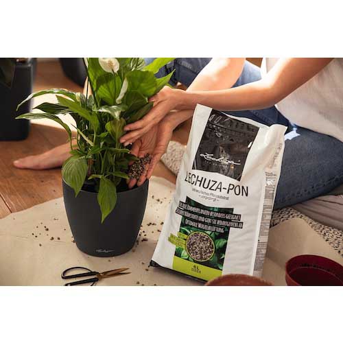 Lechuza 底面給水プランター用鉢底石 レチューザ ポン 3L 19560