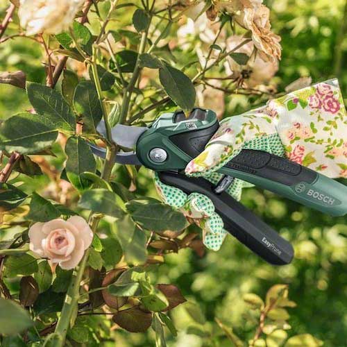 【廃番】ボッシュ コードレス剪定バサミ EASYPRUNE