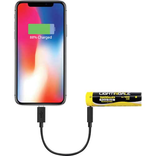 ライティンゲイル スマホにも給電できるリチウムイオン充電池2600mA/USB-TYPE-C/18650タイプ LTG0002