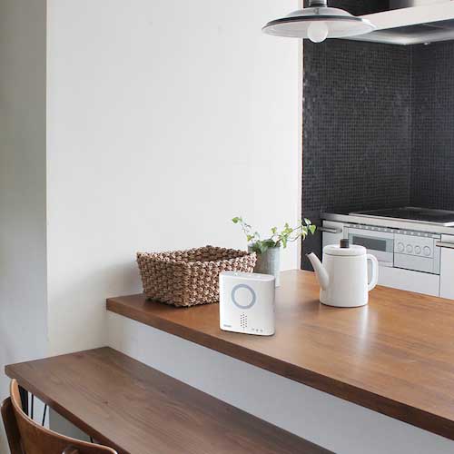 REVEX 人感センサーチャイムセット XP750A