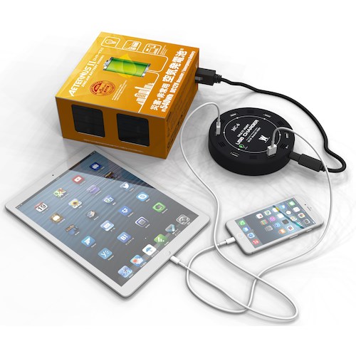 【廃番】WAHD 空気発電池(エイターナス2)電池単体 AT-EBP-12V-PACK