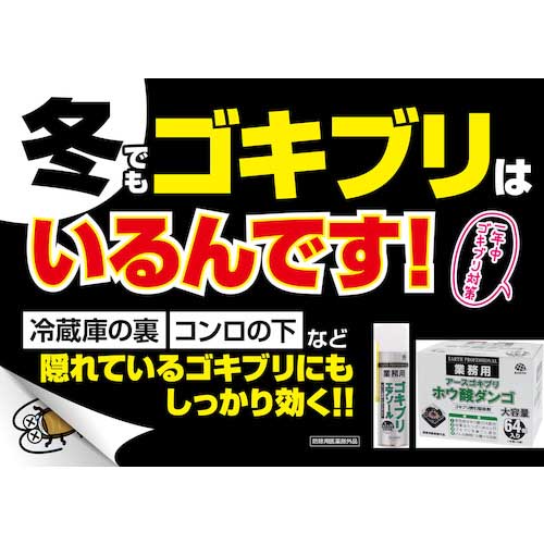 アース 業務用アースゴキブリホウ酸ダンゴ1箱64個入り(=16個×4袋) 675514