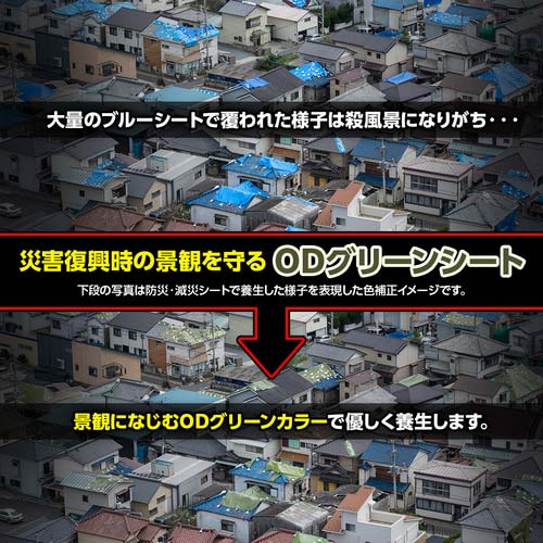 萩原 ターピー 防災・減災シート#3000 ODグリーン 10m×10m BOUSAI-OD1010