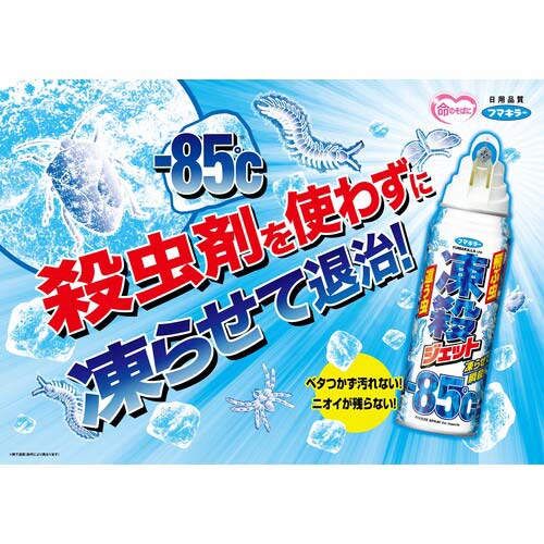 フマキラー 凍殺ジェット300ml2本パック 448665