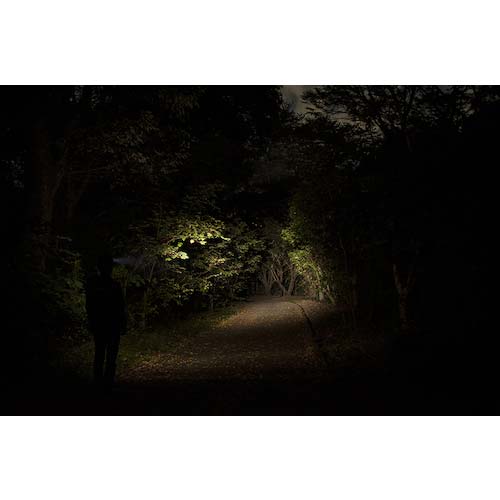 【ゲリラセール】GENTOS LEDヘッドライト AXRAY F343HD AR-F343HD