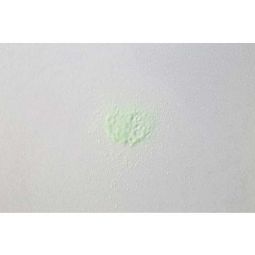 azuma CH880 アズマジックカビ取り洗剤 651374