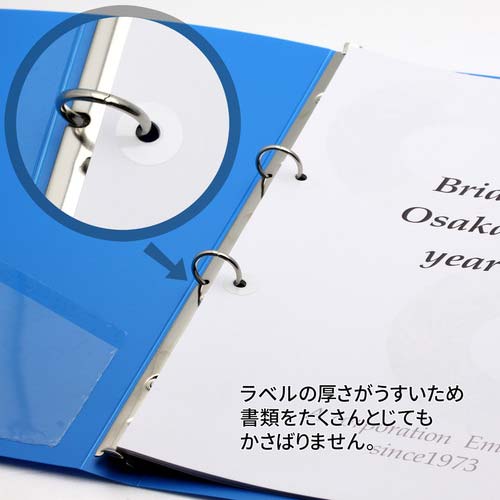 ニチバン パンチラベルML-250 ML-250