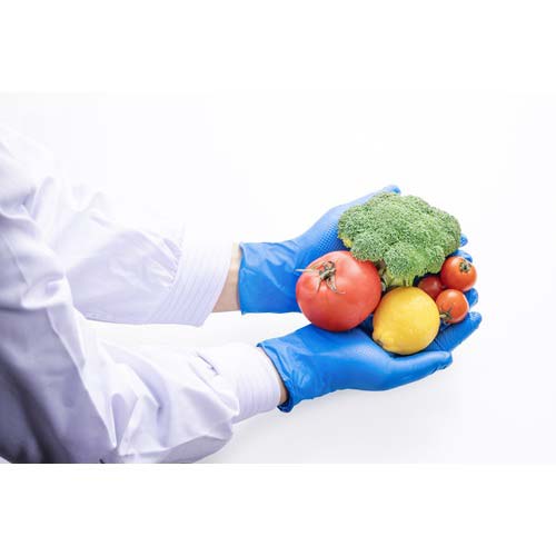 バリアローブ ニトリルグローブIGAブルー パウダーフリー L NO.2192L