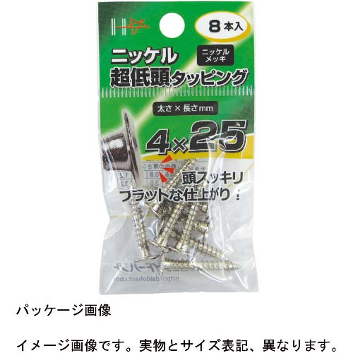 DAIDOHANT HP ニッケル 超低頭タッピング 4x25 約6本 10183954
