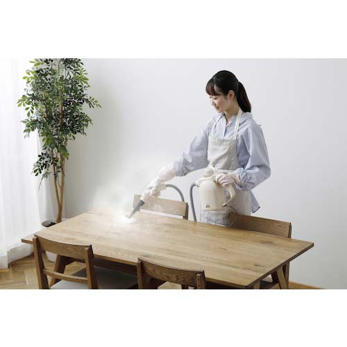 アイリスオーヤマ 102093 スチームクリーナー ハンディータイプ STM-305R-C