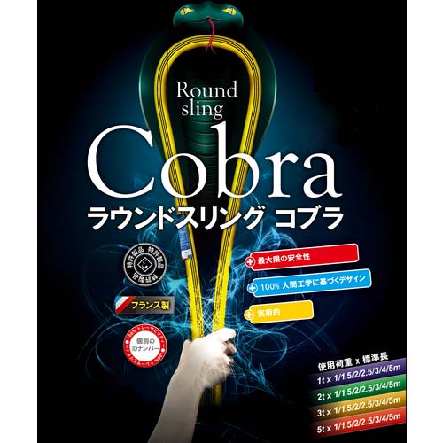 DAIDOHANT ラウンドスリング(コブラ) (長さ)1.0メートル 5トン用 (赤) 【2本入】 10195732