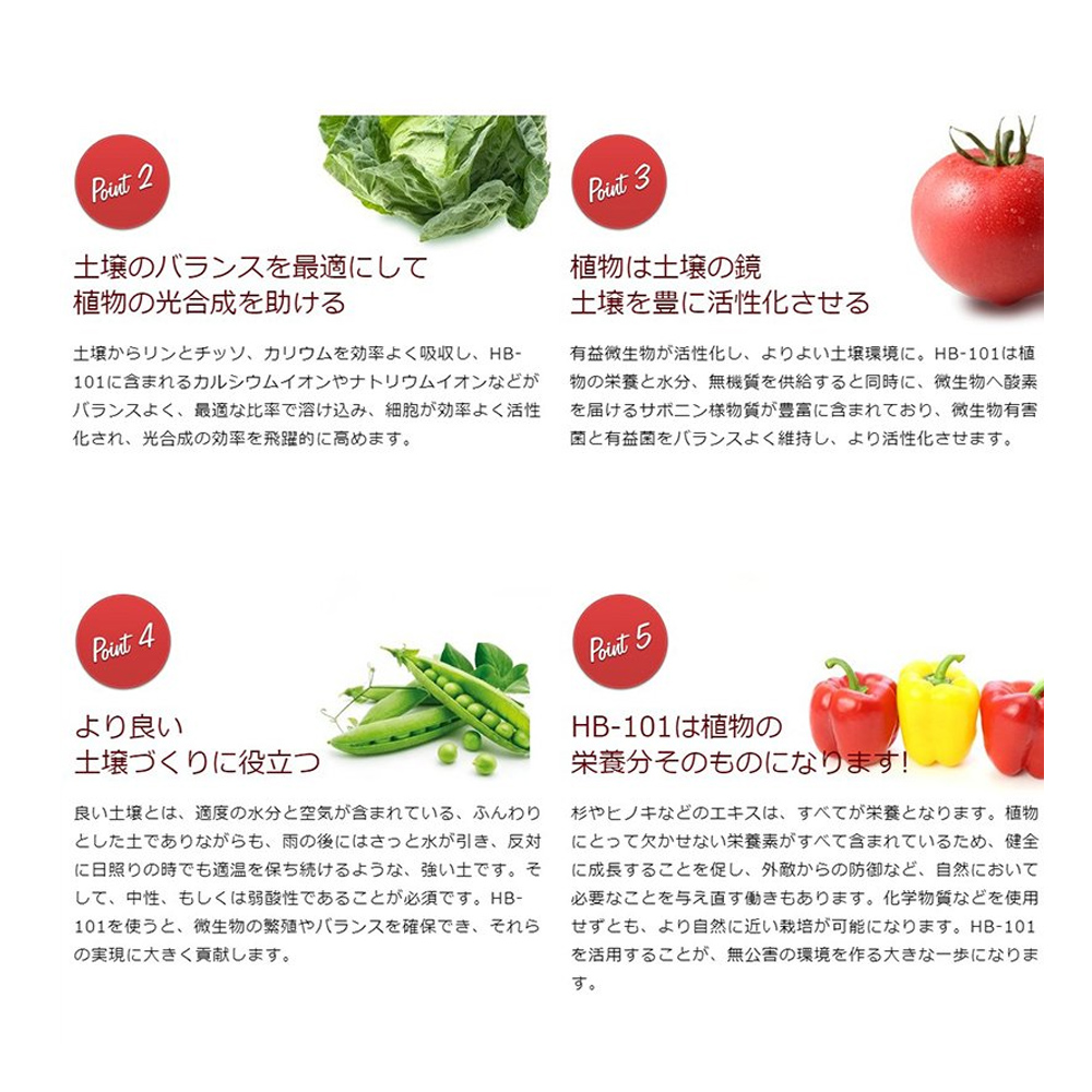 フローラ 植物活力液 HB-101 原液タイプ