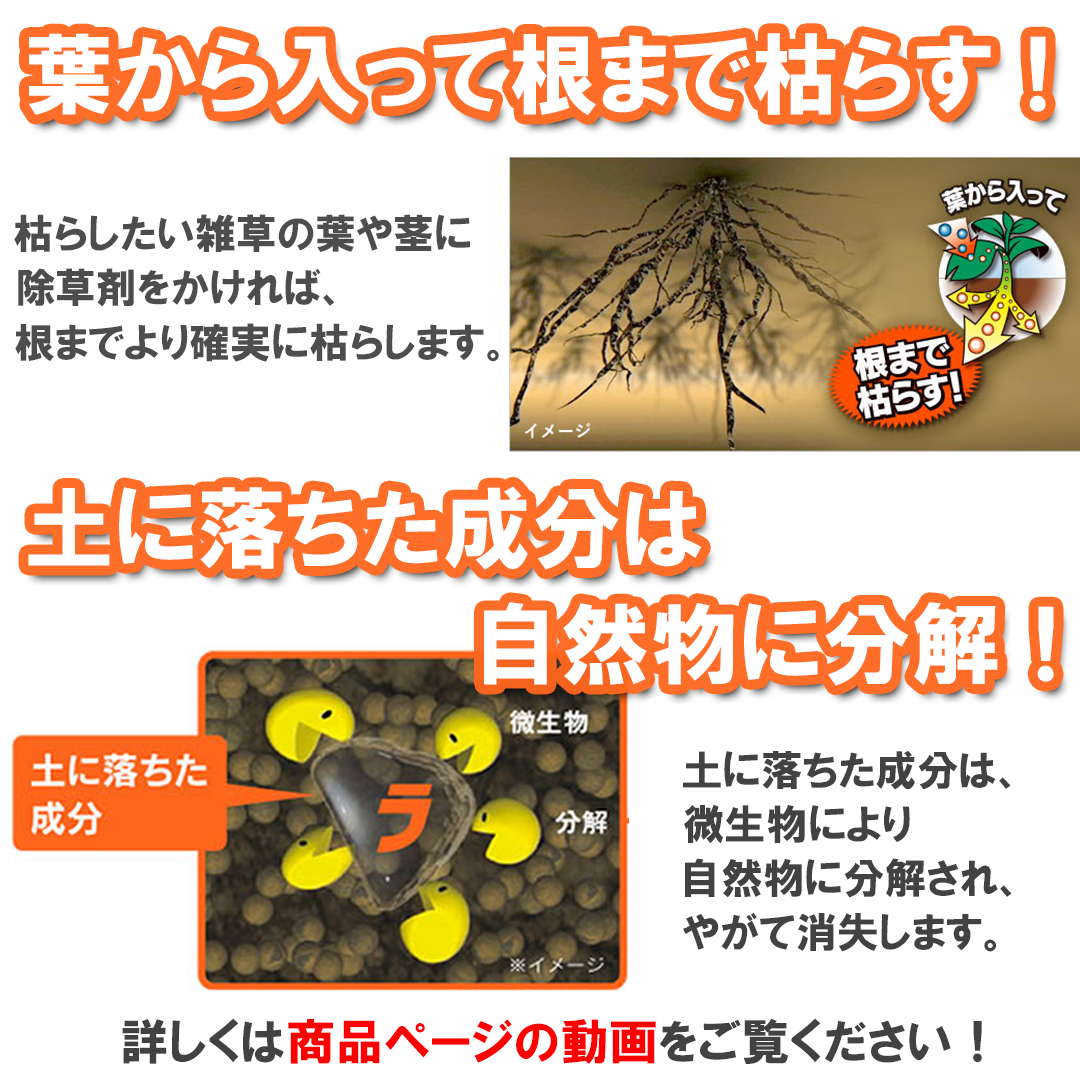 日産化学 茎葉処理除草剤 ラウンドアップマックスロード 希釈タイプ 500ml