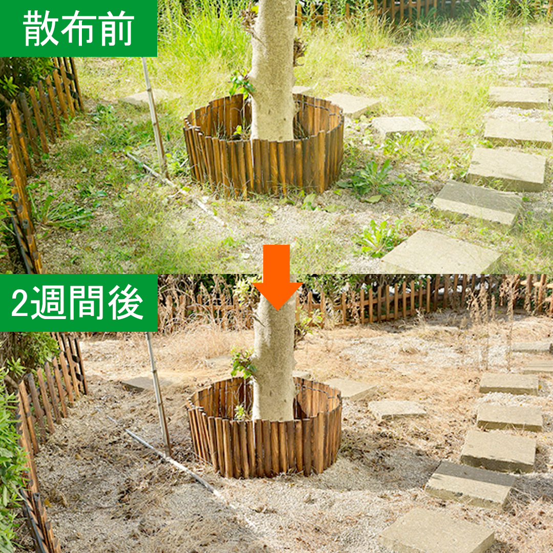 日産化学 茎葉処理除草剤 ラウンドアップマックスロードALV 長期持続タイプ 2L