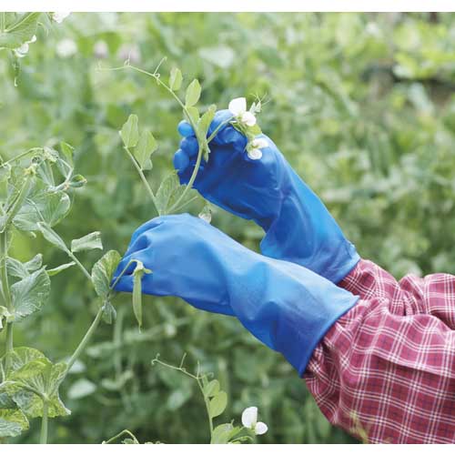 ビニスター まとめ買い 塩化ビニール手袋 ビニスターマリン M (3双入) 776-M