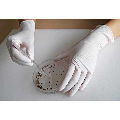 SHOWA ニトリルゴム使い捨て手袋 No884 ニトリスト・ホワイト 100枚入 Sサイズ NO884-S