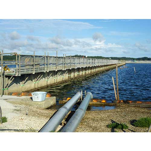 【廃番】Hoshin アルウォーク フック無 AWBN-FNA