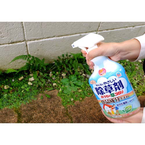 アース 除草剤 ガーデンおうちの草コロリスプレー1000ml 290816