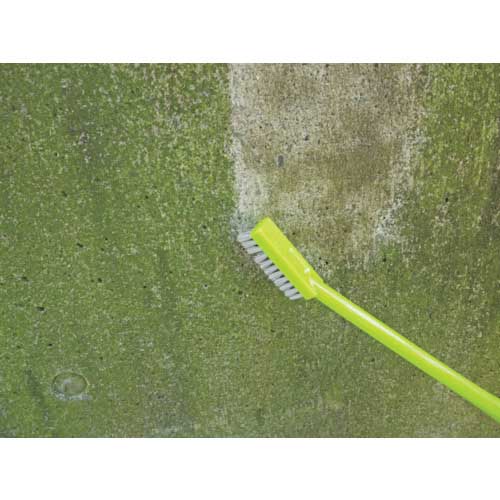 azuma ハンドブラシ BA726 コケ取りブラシナイロン 391881120