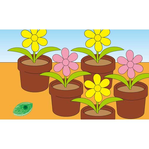 フマキラー アリ用殺虫剤 ウルトラ巣のアリフマキラー10個入 430639