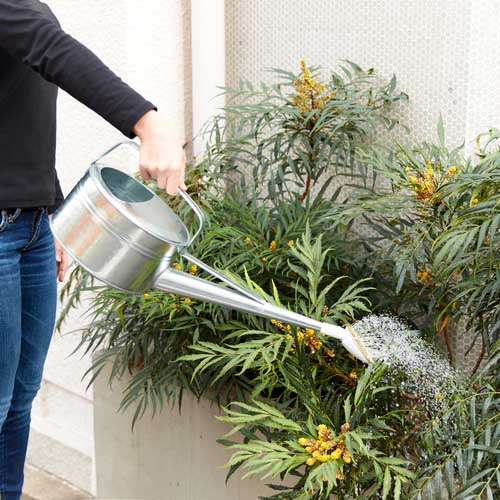 TRUSCO トタンじょうろ 4リットル CGI-04