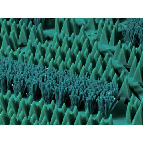 テラモト カラーブラッシュ緑 MR-096-072-1