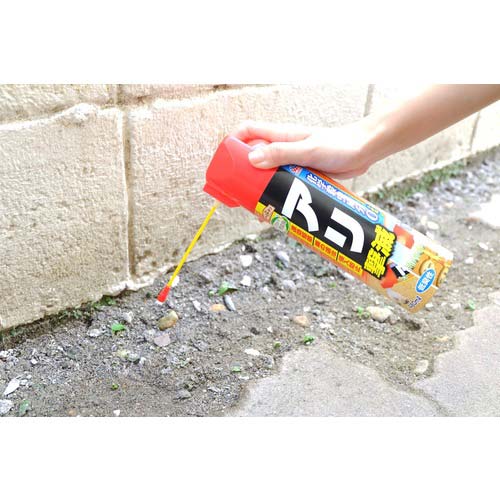 アース ガーデン こだわり天然志向 アリ撃滅 480ml 043818