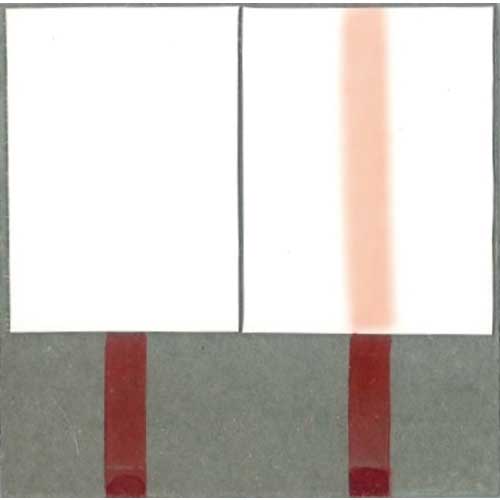 サクラ ピグマックス 細字 空色 ZPK-S425