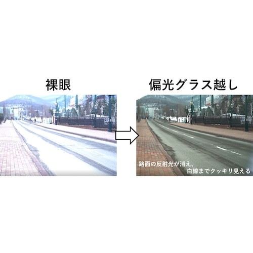 【廃番】ゼクー TITICACA(偏光) フロストグレー MB/SI F1942