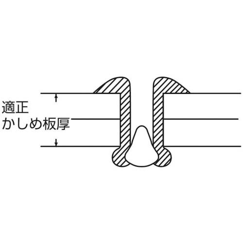 エビ ブラインドリベット(丸頭) ステンレス/ステンレス製 5-4(1000本入) LST54