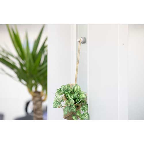 MAGEVER 挟んで使うマグネット マグサンド iフック ホワイト 強力マグネットフック ネオジム磁石 1-0214SAND-IW