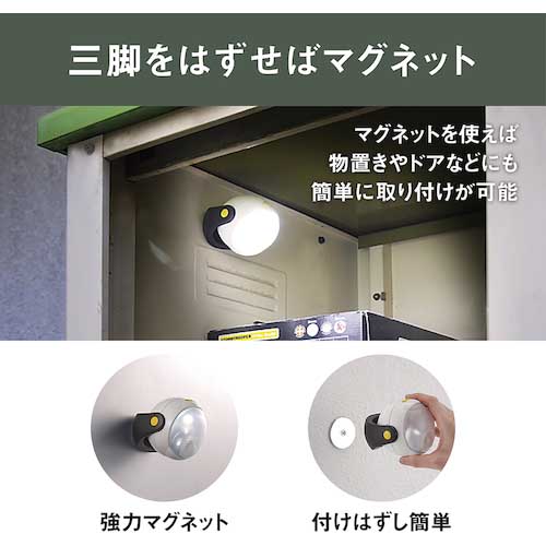 RITEX LEDどこでもセンサーライト ASL-090